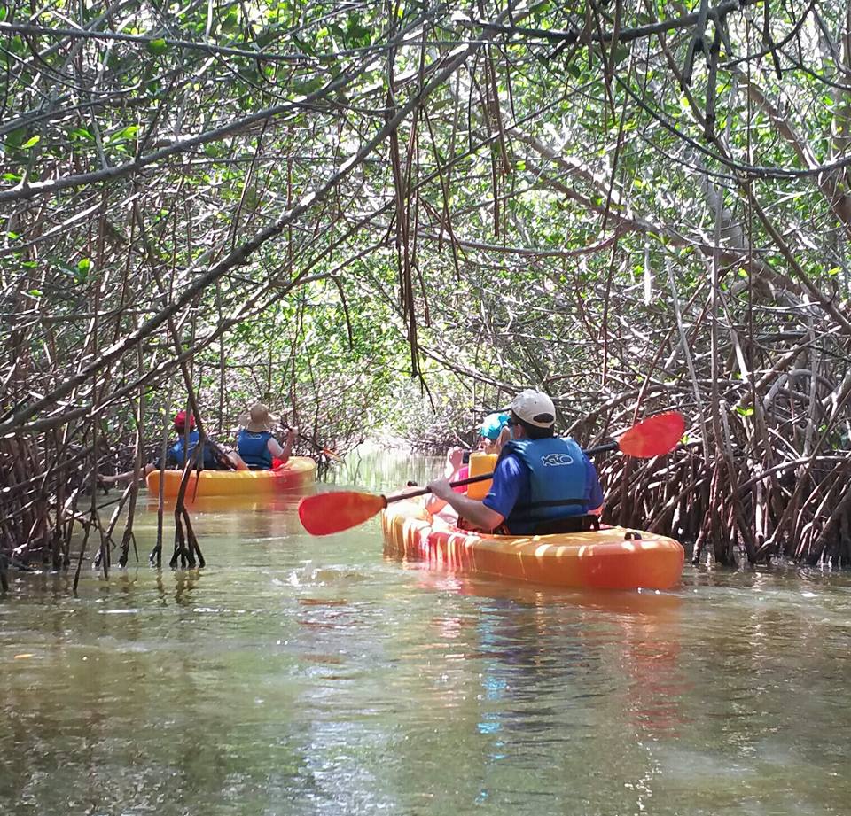 Cocoa Beach Kayaking