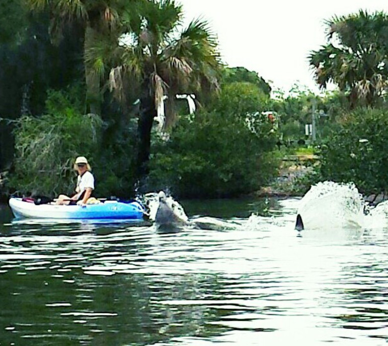 Cocoa Beach Kayaking